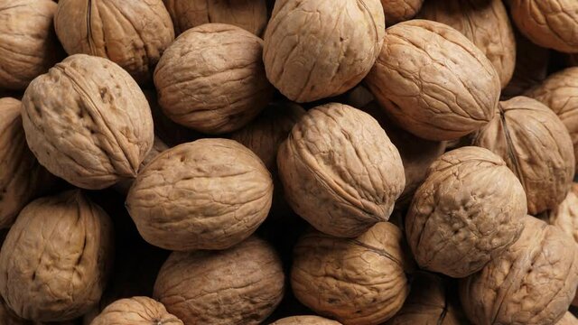 Whole Walnut closeup. Rotating nuts background, nobody