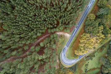 Winding road through the forest, from high mountain pass, in autumn time. Aerial view by drone