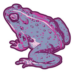 blue grey toad with body warts