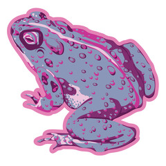 blue grey toad with body warts