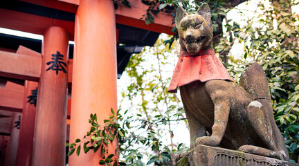 Kitsune japanese fox statue with red apron at famous Fushimi Inari Taisha shrine - obrazy, fototapety, plakaty