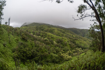 Scenic Makamakaole Falls vista from the Waihee Ridge Trail, Maui, Hawaii