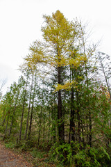 MacGregor Point Provincial Park in Fall