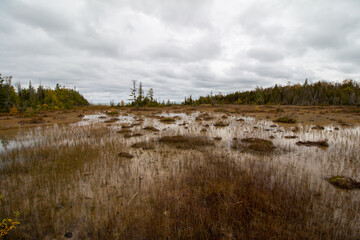 MacGregor Point Provincial Park in Fall