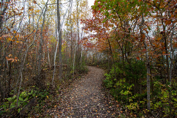 MacGregor Point Provincial Park in Fall