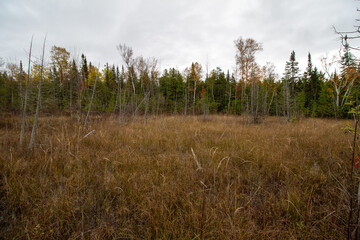 MacGregor Point Provincial Park in Fall