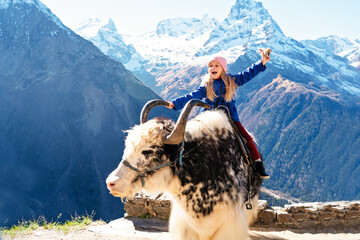 A little girl sits astride a yak on the background of snowy mountains