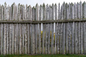 Fototapeta premium Tall stockade fence with green moss