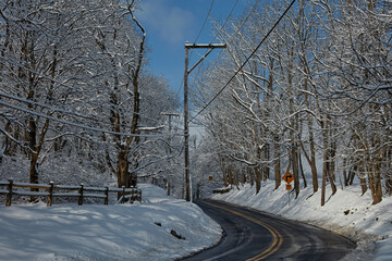 Winter Scene