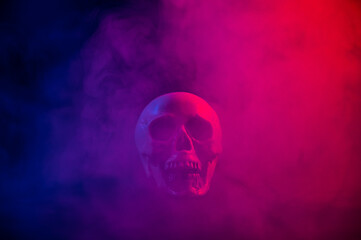 Human skull in pink and blue smoke on a black background. Halloween.