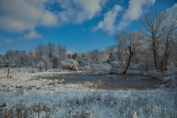 Winter Scene