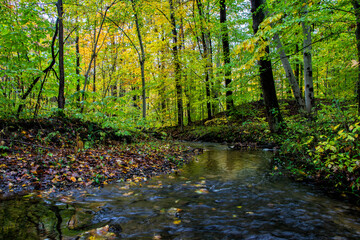 A stream flows through the woods at Potato Creek State Park in North Liberty, Indiana, as autumn...