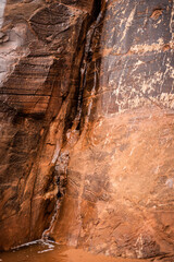 standstone wall after rain