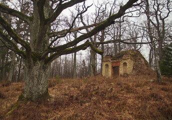 Fototapeta na wymiar Abandoned chapel and oak tree in Dunalka Manor, Latvia.