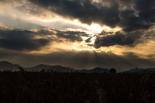 Artistic 台風 気象情報 最新 Picture in 4K Artistic 台風 気象情報 最新 Picture in 4K