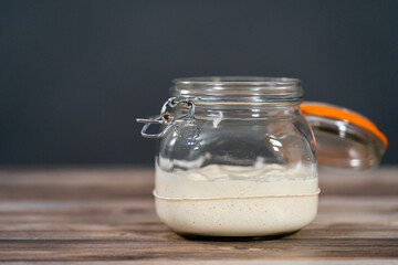 Sourdough starter