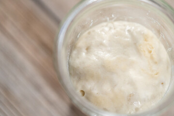 Sourdough starter