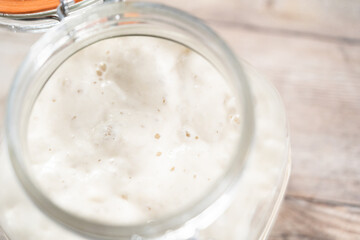 Sourdough starter