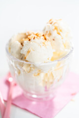 Coconut ice cream