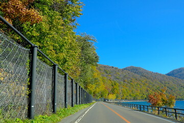 支笏湖に続く道の美しい紅葉