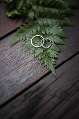 Two wedding rings or engagement ring lie on a fern leaf plant on a wooden table, wedding preparation ceremony