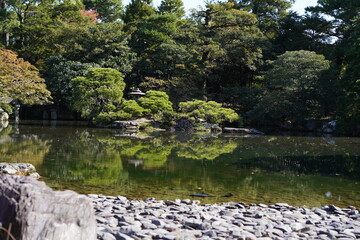 庭園の写真