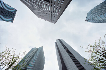 見上げたビル群