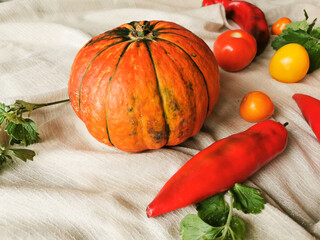 Orange pumpkin with green veins, mint, red sweet pepper and colorful tomatoes lie on a light fabric...
