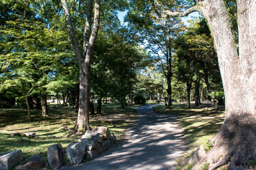 広島城址公園の散策路