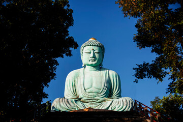 Big Buddha Daibutsu The Great Buddha of Kamakura in Japan is very big