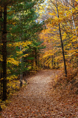 Grand-Coteau Park, Mascouche, Quebec, Canada in Fall