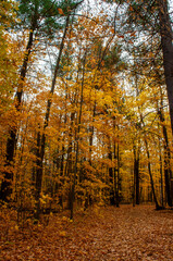 Obraz premium Grand-Coteau Park, Mascouche, Quebec, Canada in Fall