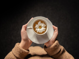 Close-up of chamomile tea with chamomile flower in female hands.