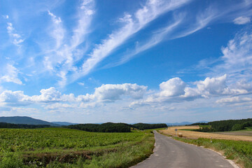 農道と青い空
