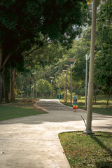 Modern park with trees and concrete pathway. A child walking, seen from behind.