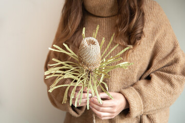 Close-up of exotic flower protea in female hands on a blurred background.