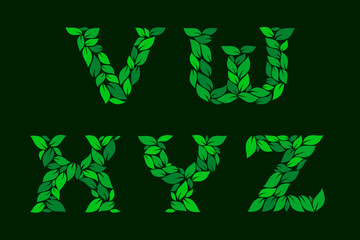 Letters V, W, X, Y, Z made of green leaves. Stock vector illustration for your logo design.