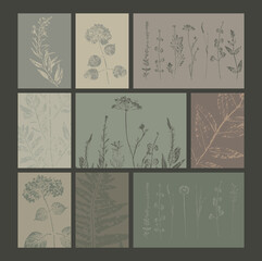 collection of vector  floral cards in earth tone