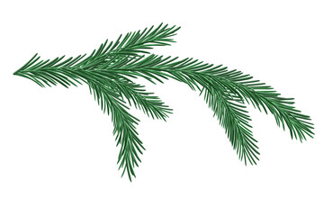 Naklejka na ściany i meble Branch of spruce on a white background, vector illustration