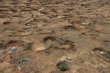 Natural background of solidified volcanic lava