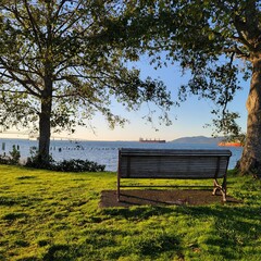 bench in park