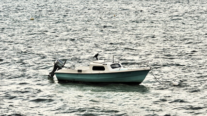 Le corbeau et le bateau © VINCENZO