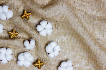 Fototapeta na wymiar Cotton flowers with nuts over the brown fabric.