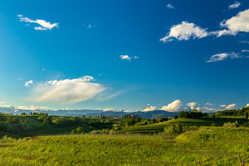 Spring sunset in the vineyards of Rosazzo