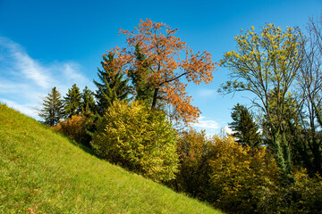 Herbststimmung . Autumn mood