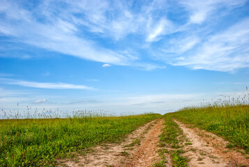 Fototapeta na wymiar Field and dirt road, going beyond the horizon against the background of a blue sky with clouds.