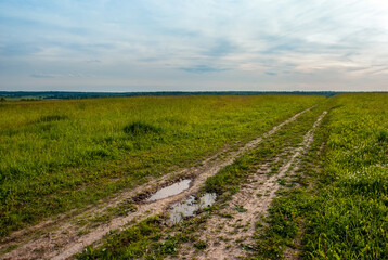 Field and dirt road, going beyond the horizon against the background of a blue sky with clouds.
