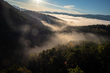 Sunrise over forest and clouds in the Mercantour National Park France 