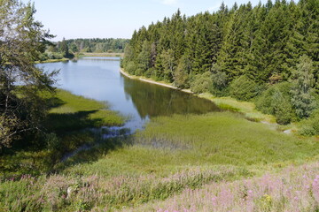 Oberer Pfauenteich bei Clausthal-Zellerfeld