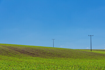 Fototapeta na wymiar Feld mit Himmel und Stromleitung. Hintergrundbild